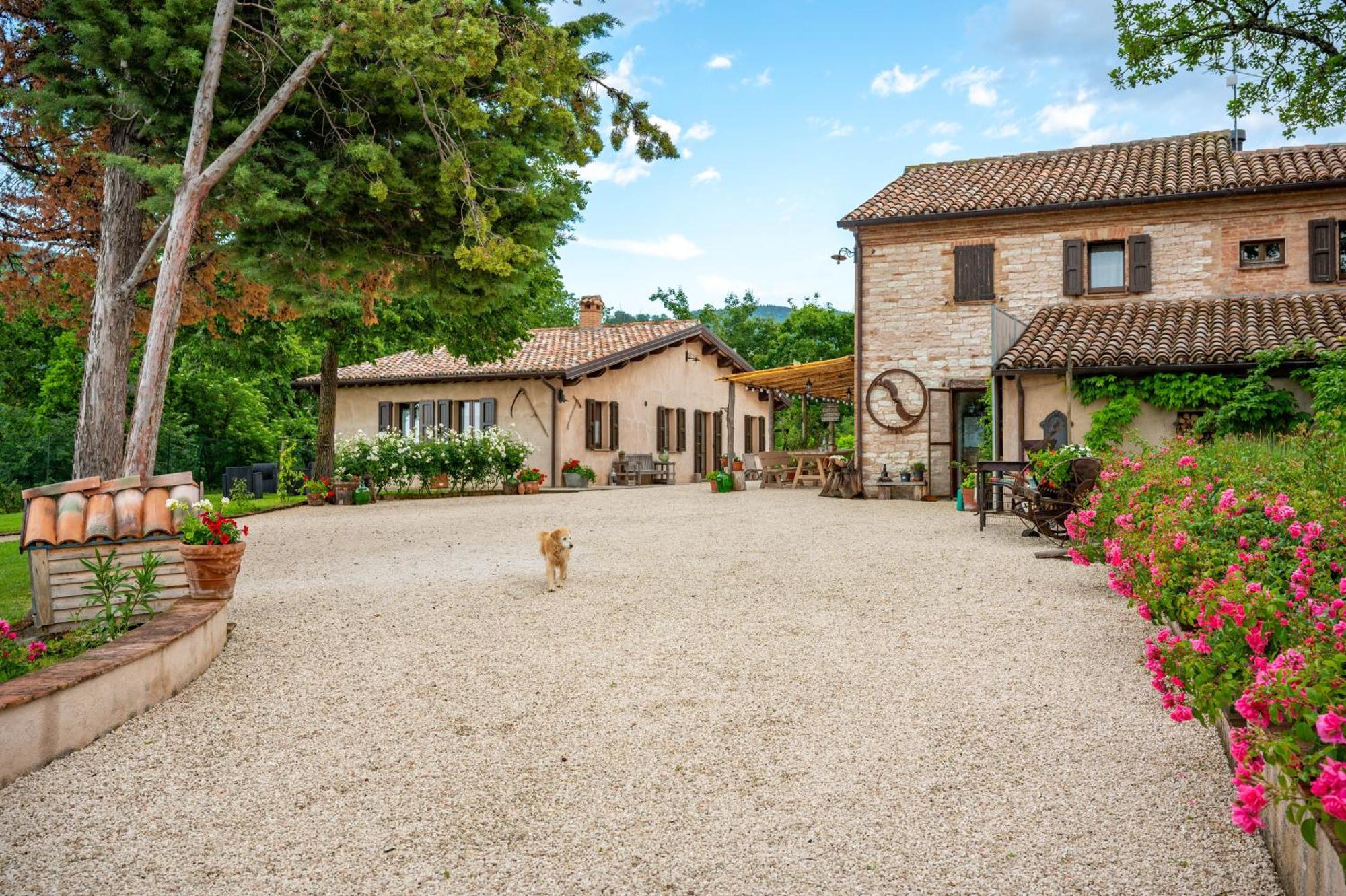 Agriturismo Il Castellaro Sassoferrato ภายนอก รูปภาพ